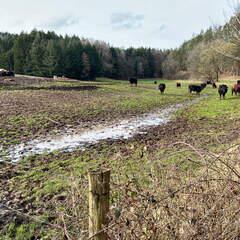 24-03-01 15-44-48 8884